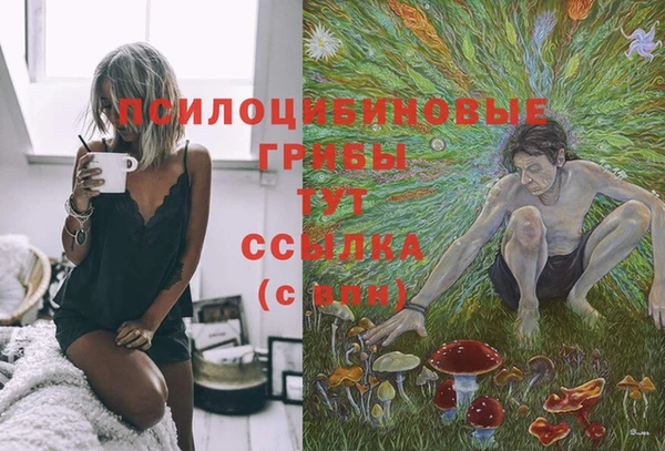 ECSTASY Нязепетровск