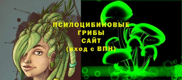 экстази Няндома