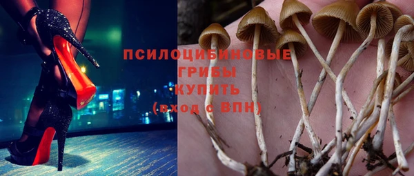экстази Няндома