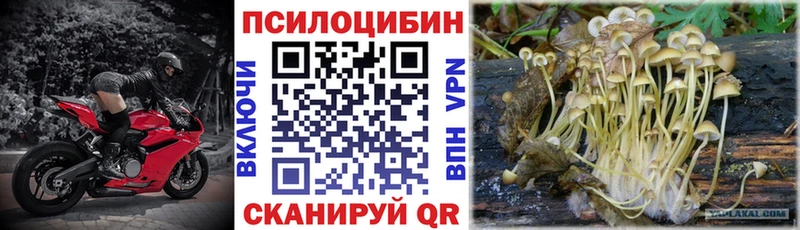 Псилоцибиновые грибы Magic Shrooms  сколько стоит  Тюкалинск 